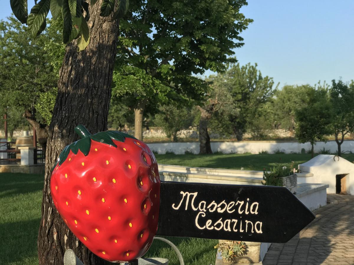 Masseria Cesarina B&B Castellana Grotte Dış mekan fotoğraf